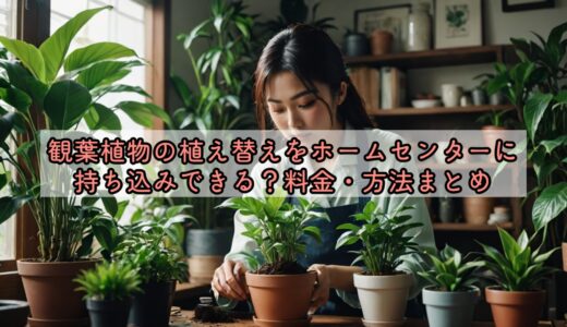 観葉植物の植え替えをホームセンターに持ち込みできる？料金・方法まとめ