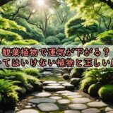 観葉植物で運気が下がる？置いてはいけない植物と正しい風水