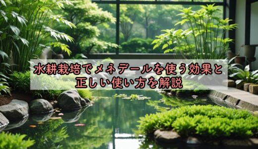 水耕栽培でメネデールを使う効果と正しい使い方を解説