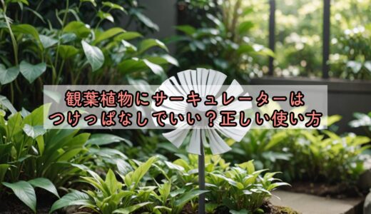 観葉植物にサーキュレーターはつけっぱなしでいい？正しい使い方