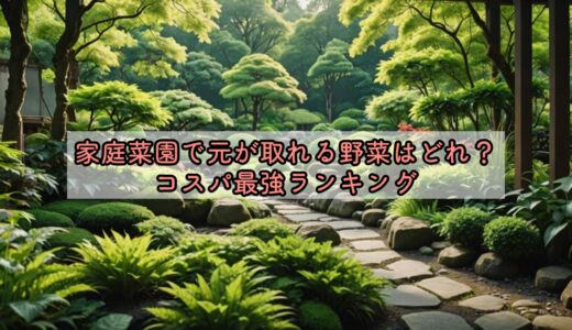 家庭菜園で元が取れる野菜はどれ？コスパ最強ランキング