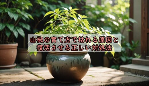 山椒の育て方で枯れる原因と復活させる正しい対処法