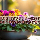 今から植える花でプランターに向いている種類は？季節別の選び方と育て方