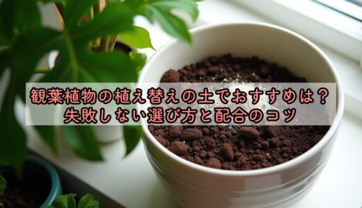 観葉植物の植え替えの土でおすすめは？失敗しない選び方と配合のコツ
