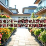 ホームセンターの花苗の入荷の曜日はいつ？狙い目の買い方と店舗別の傾向