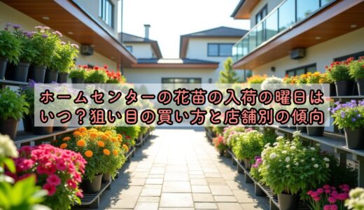 ホームセンターの花苗の入荷の曜日はいつ？狙い目の買い方と店舗別の傾向